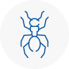 Ant Removals In Brechin