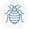 Bed Bug Extermination In Brechin