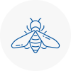 Bee Nest Removal Brechin