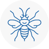 Brechin Hornet Nest Removals
