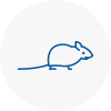 Mice Exterminators In Brechin