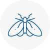 Moth Control Specialists In Brechin