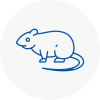 Rat Control Brechin