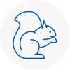 Brechin Rodent Removals
